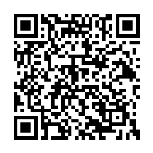 让龙傲天对那些中低级药材已经有些看不上眼了二维码生成