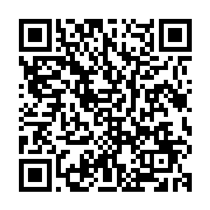 让龙傲天惊讶的是里面竟然飞出一个拳头大小的身穿金甲的小人二维码生成