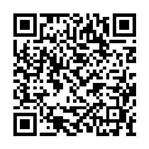 让龙皇神殿彻底吞并五行神殿的所有地盘和城池二维码生成