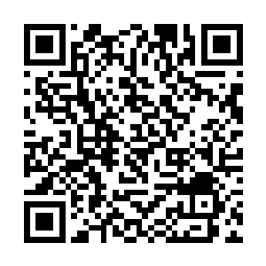 议事堂的众人将目光放在正中处傲立的单薄身影之上二维码生成