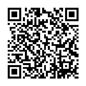 议和大会说白了就是君北月确定对龙渊大陆主导权的会议二维码生成