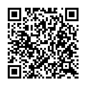 记得上一次这么痛还是刚刚开启魂力的时候吧……那时候二维码生成