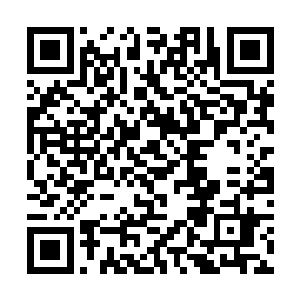 记得之前那代号十八的青年就一直称呼自己为总教官二维码生成