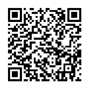 记得他打败符咒境界最高的学员是符元境界初期的二维码生成