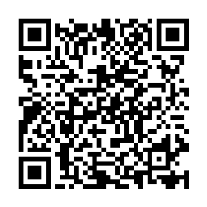 记得面前这个忽然变得面貌的人类曾经是它们的主人二维码生成