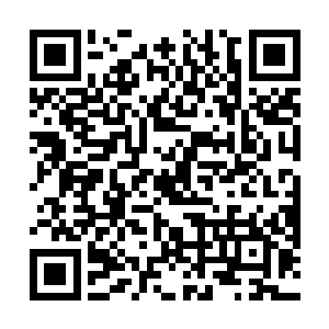 记忆中似乎也不曾在老伯爵的书房里看到过类似的物事二维码生成
