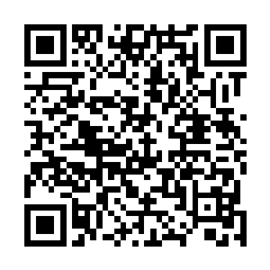 记者们隐约记起来昆汀曾经数次在接受采访时表示过对中二维码生成