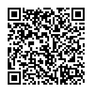 记载了人物施展圣阶战技的一招一式以及每一招所包含的某种玄奥二维码生成