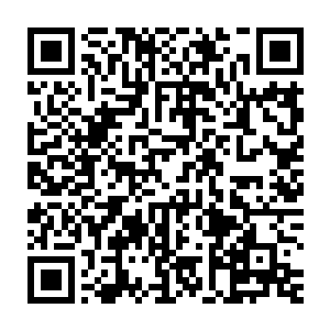 许东林虽然搞不清楚秦洛以这样拉风的造型出场有着什么样的目的二维码生成