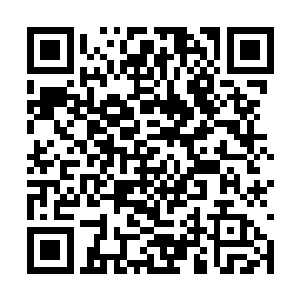 许兄千里迢迢飞来华夏不会是想让我请你吃烤鸭吧二维码生成