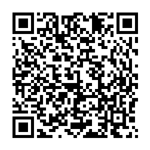 许博年把茶几上装着晚礼服和鞋子之类东西的几个袋子往她怀里塞二维码生成