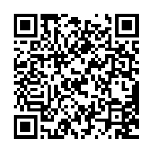 许多人家都会采集自家屋前屋后的桃花用来酿造桃花酒二维码生成