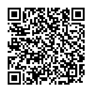 许多人甚至连机会都没有能够触摸就消耗了自己所有的青春和雄心壮志二维码生成