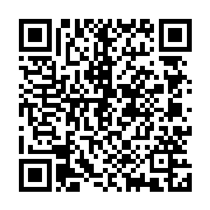 许多人都在兴致勃勃的讨论着这一次的帝联商会的拍卖会上二维码生成