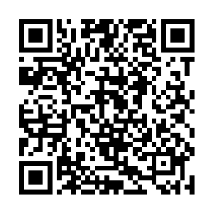 许多人都是不看演员表的――今天现场谁不认识雨果二维码生成