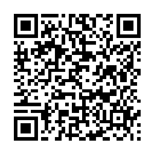 许多人顿时因为杰姆森·洛奇这一招敬佩到五体投地二维码生成