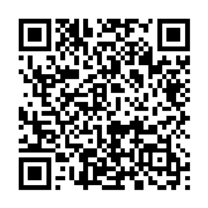 许多佣兵将军还是第一次以访客身份进入狼人部落营地二维码生成
