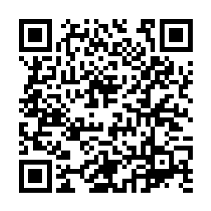 许多养殖户开始用三轮车一车一车的往外拉死兔子二维码生成