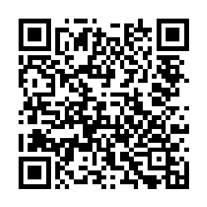 许多地方的土地转让价格已经到了八百块钱一平米二维码生成