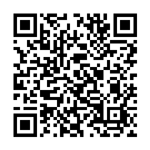 许多外来的大势力在观看了第二个环节的淘汰赛之后二维码生成