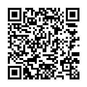 许多常规的修行资源也被黑凡洞天里的蛊仙消耗无数二维码生成