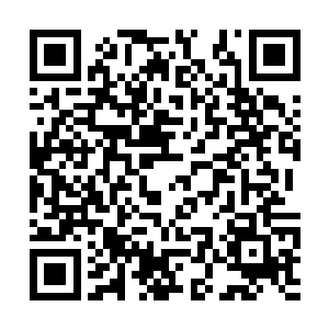 许多想要进入这个圈子的公司甚至没有来得及反应二维码生成