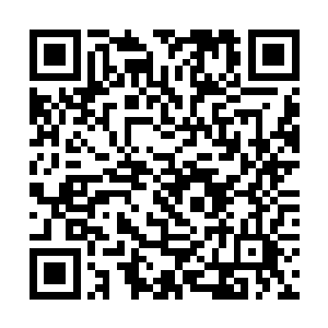 许多武者一辈子都碰不到进入秘境中历练寻宝的机会二维码生成