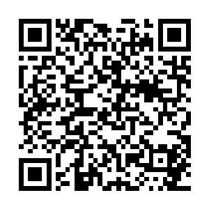 许多武者在毫无察觉的情况下将那些孢子吸入肺腑之中二维码生成