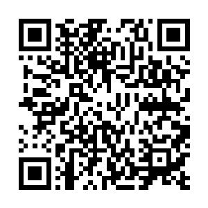 许多气海境剑者纷纷施展飞行秘法升空准备拦截飞行妖兽二维码生成