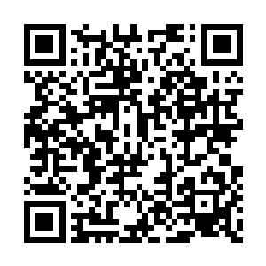 许多演员在进入新好莱坞时代之后都与社会脱节二维码生成