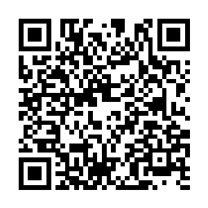 许多琴无心的支持者拼命的喊着为琴无心加油助威二维码生成