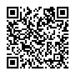 许多生命力顽强的上古遗种能在其中找到生存之道二维码生成