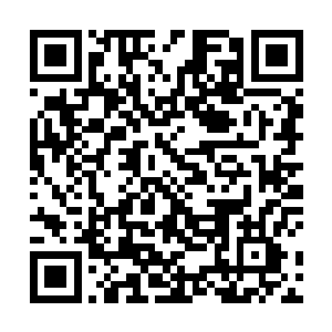 许多职业选手空有一身水平在赛场上却总是郁郁不得志二维码生成