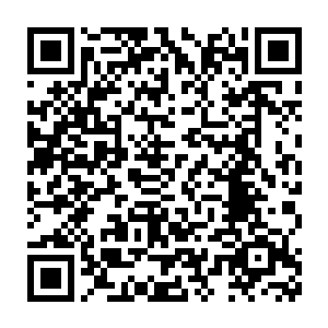 许天狼再加上十二个当初投奔太虚宗修士都达到了地尊初期的修为之后二维码生成