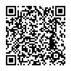 许天狼再加上十二个当初投奔太虚宗修士都达到了地尊初期的修为二维码生成