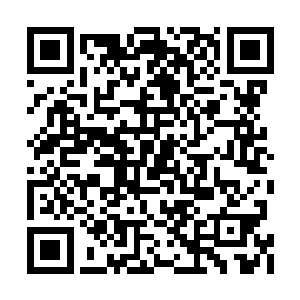 许家修士只是随着东方修仙界的修士驻扎了下来二维码生成