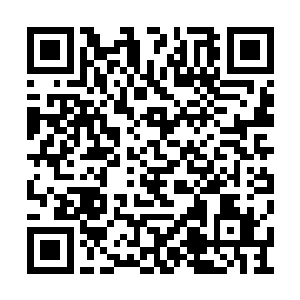 许家对于许紫烟能够带来一个大罗金仙期的奴仆二维码生成