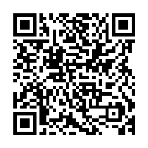 许家联盟和四大超级势力联盟的厮杀已经到了如火如荼的地步二维码生成