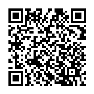 许家通过了大比选出了五十六个九天玄仙后期巅峰修士二维码生成