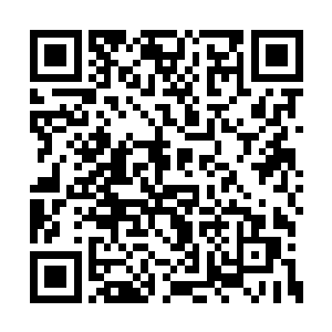 许宽恕根本没到最后关头就已经把月谷给背叛了二维码生成