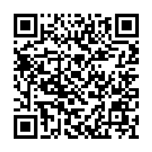 许岚等人已经将船划到了和许麒等人相约的地方二维码生成