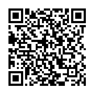 许岚等四个人奋力划着船向着和许麒约好的地方行去二维码生成