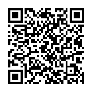 许振山则是亲自出马带着许家联盟开始在许家联盟周围出击二维码生成