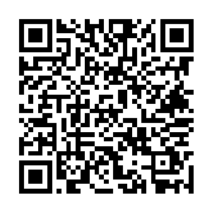 许振山和许琴扬三个人霍然从地面上向着空中冲起二维码生成