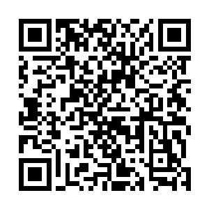 许振山和许琴扬在内的所有许家弟子此时脸上都已经苍白二维码生成