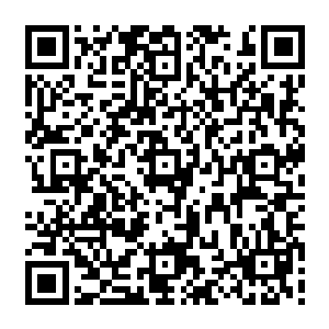 许振山和许琴扬等一百位仙君望着对面的符文炮和仙诀轰击在战争城堡的防御光罩上二维码生成