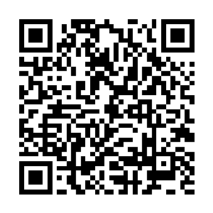 许昇炎只用了半天的时间就处理好了安然所有的后事二维码生成