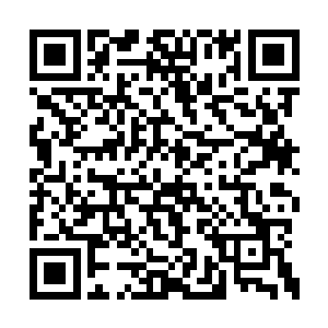 许星甘和许音籁四个结丹期的修士就有些不堪了二维码生成