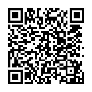 许星繁和各位长老也纷纷地跟着许紫烟向着大阵之外飞去二维码生成