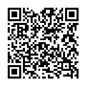 许是被关着时间久了他的腹部受伤的厉害也很脆弱二维码生成